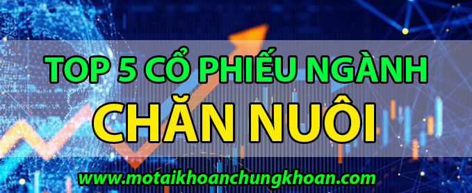 Top 5 mã cổ phiếu ngành chăm nuôi tiềm năng tăng trưởng tốt